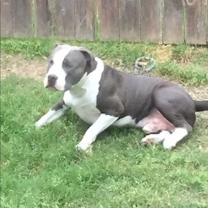 Meet your Posher, Pat